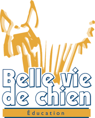 Belle vie de chien