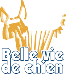 Belle vie de chien